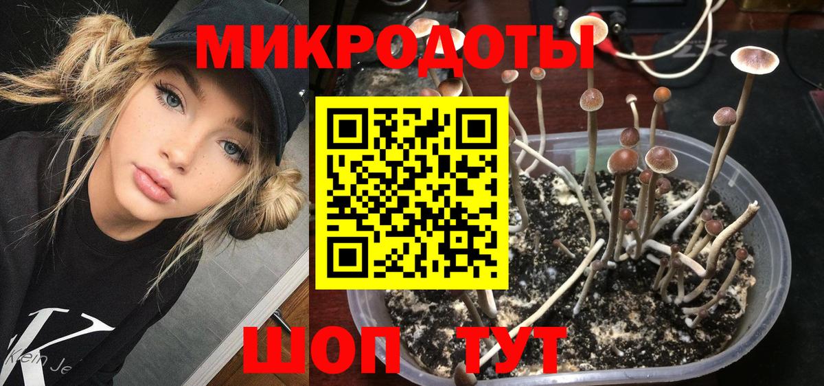 Псилоцибиновые грибы GOLDEN TEACHER Анапа